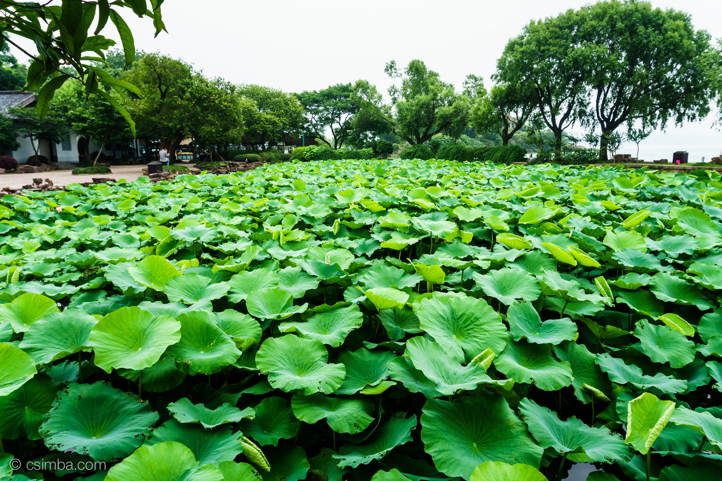 20150701-03 无锡苏州