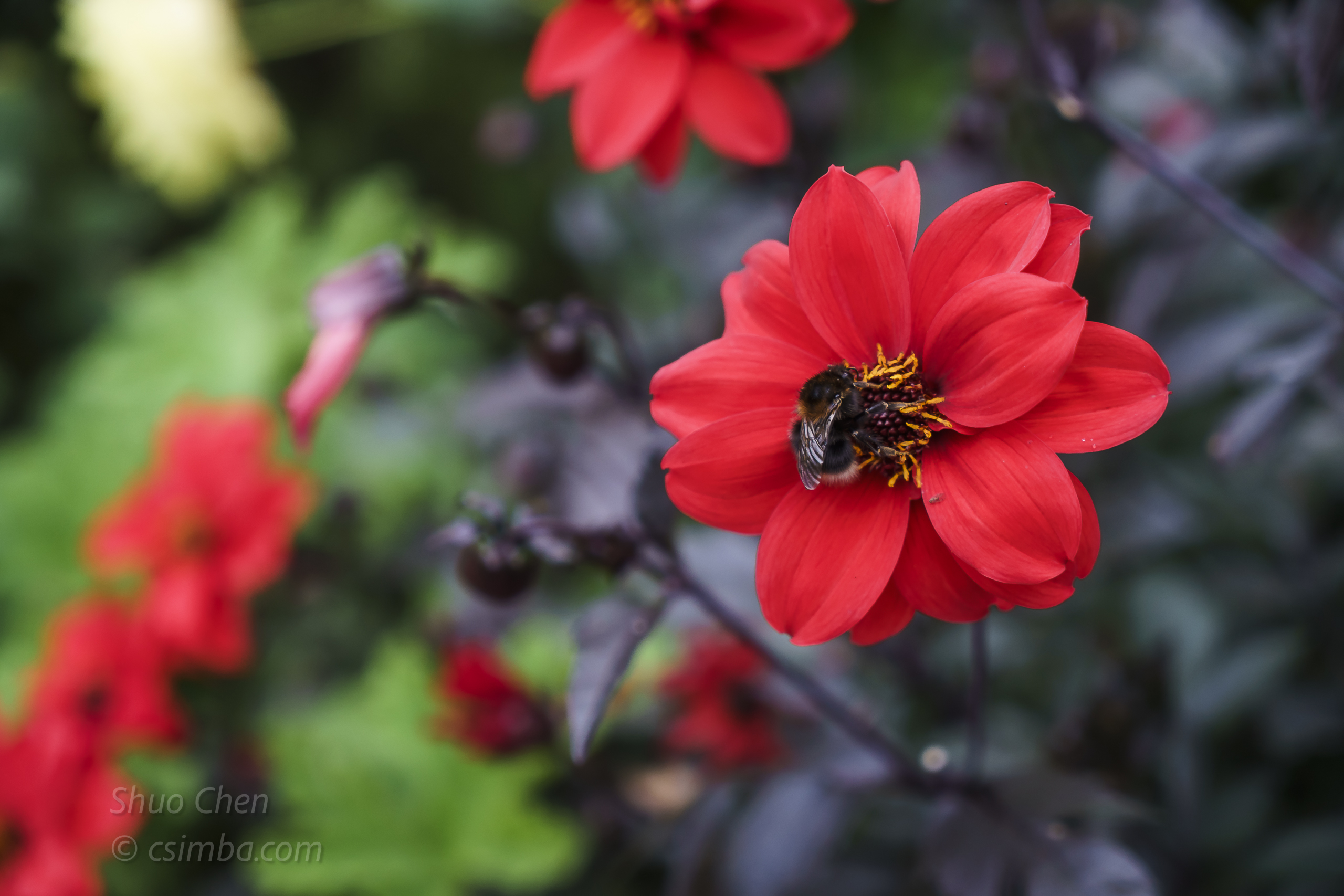 20161008 WinterBourne