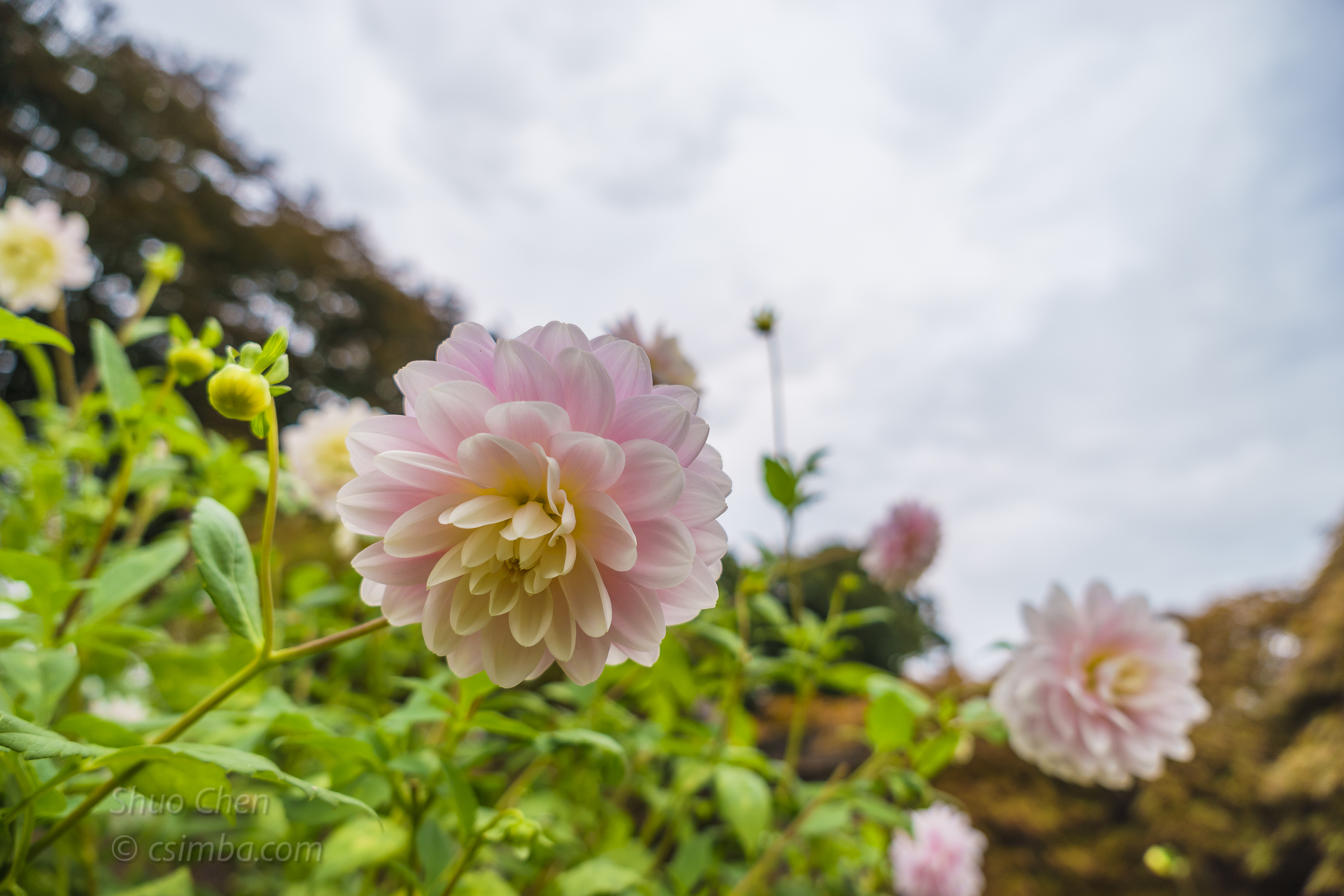 20161008 WinterBourne